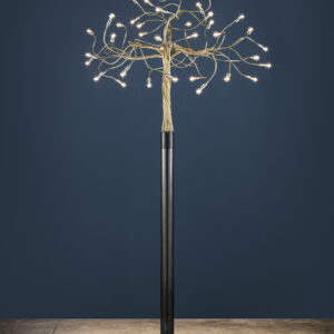 Albero Della Luce