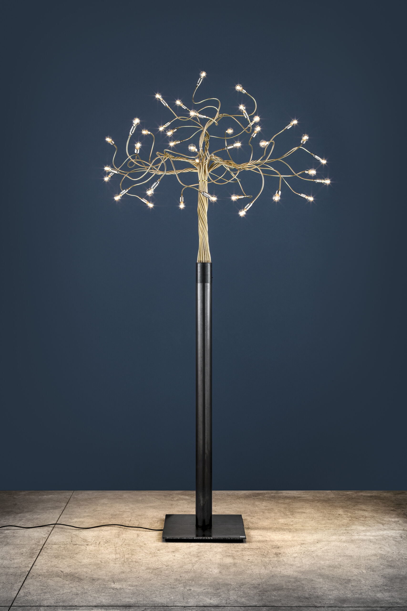 Albero Della Luce