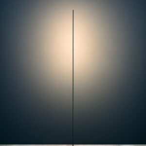 Light Stick
