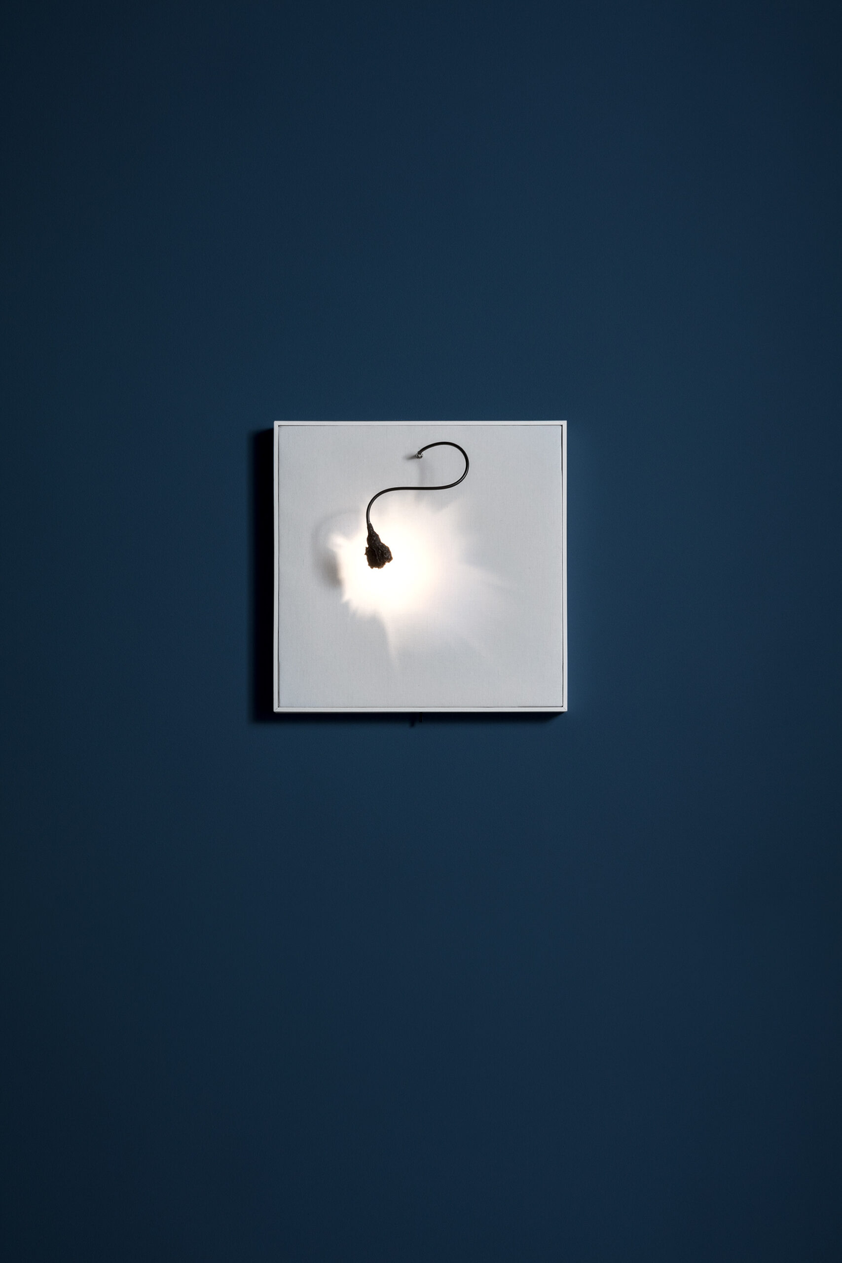 Luce Che Dipingue