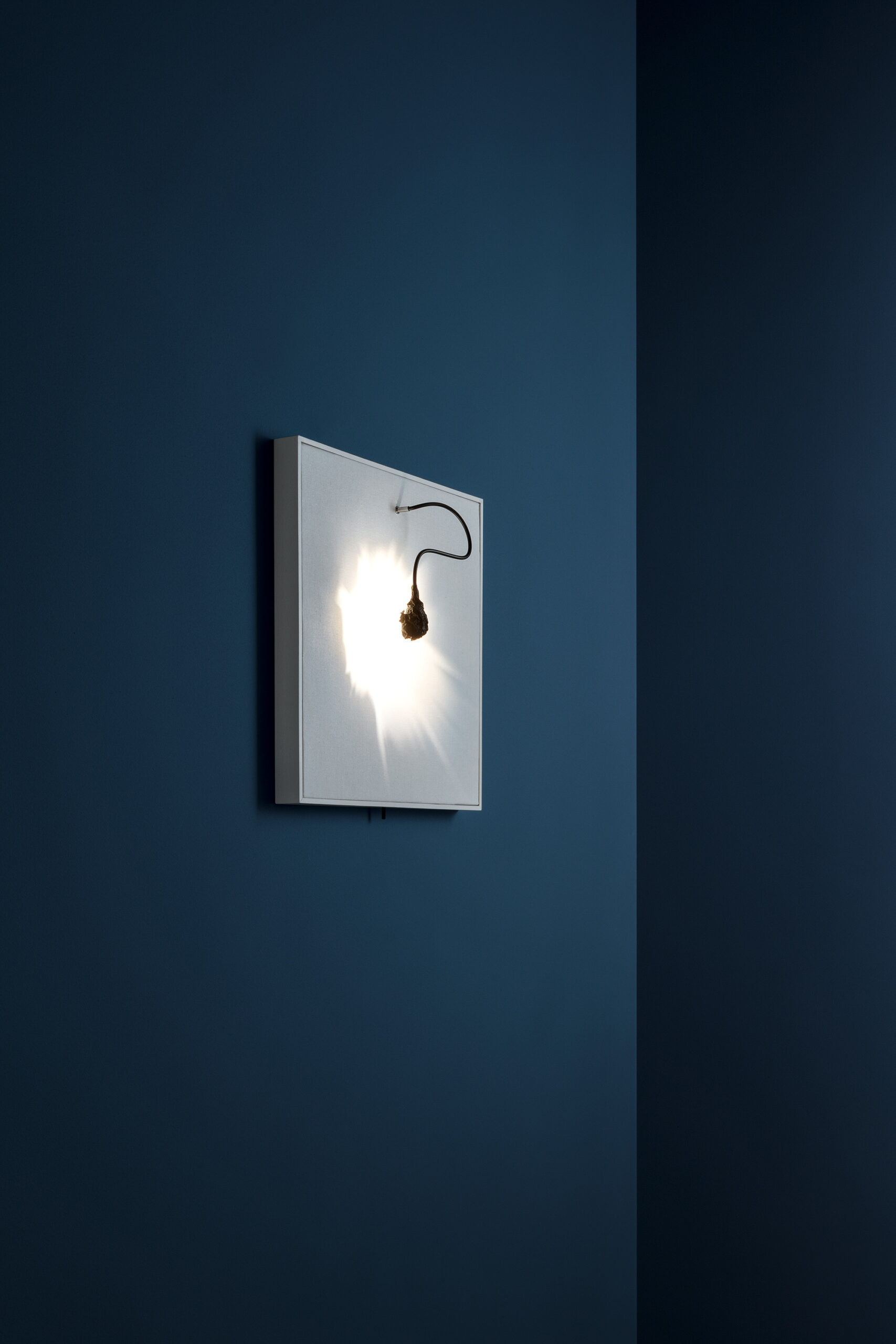 Luce Che Dipingue - Imagen 2