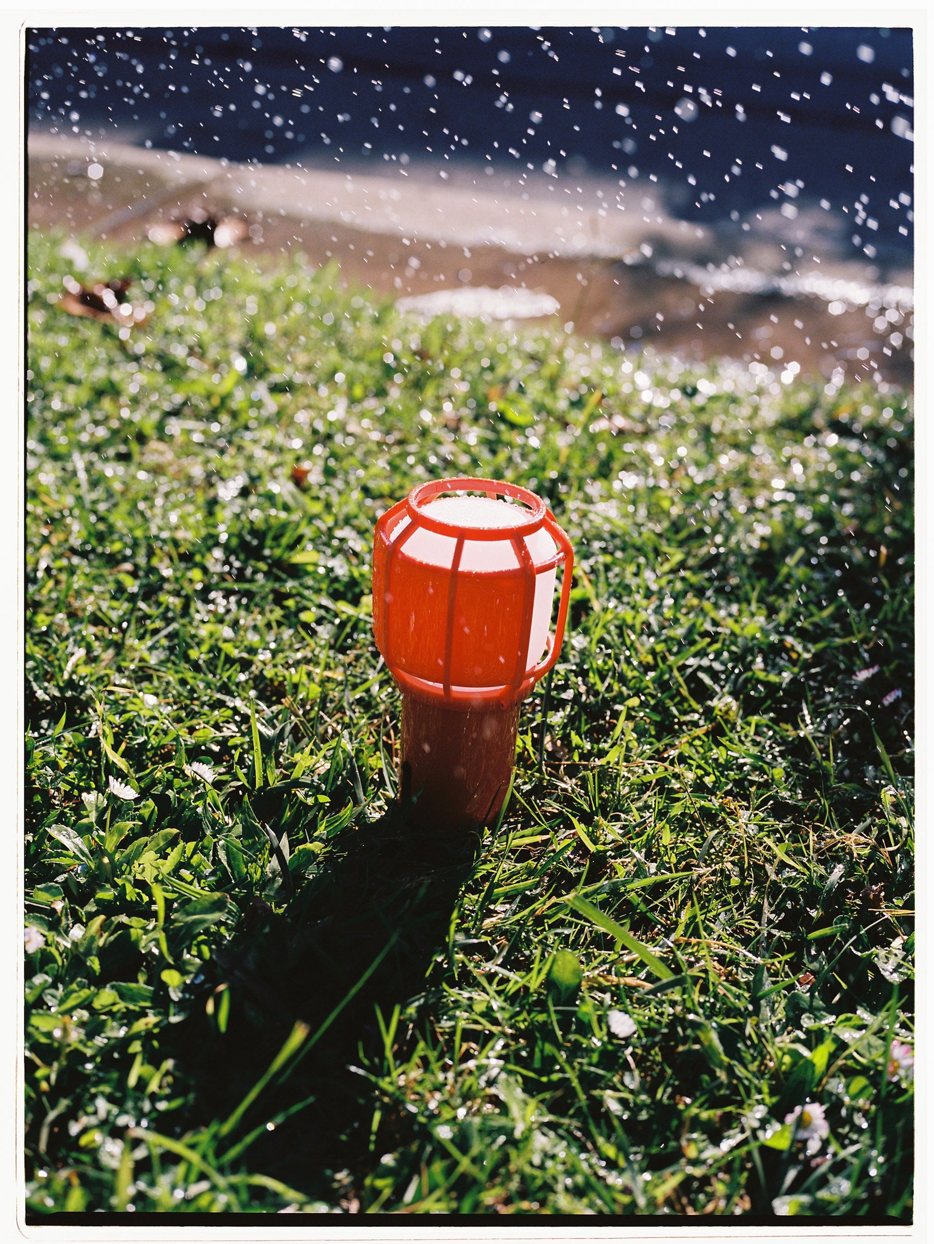 Chispa - Imagen 4