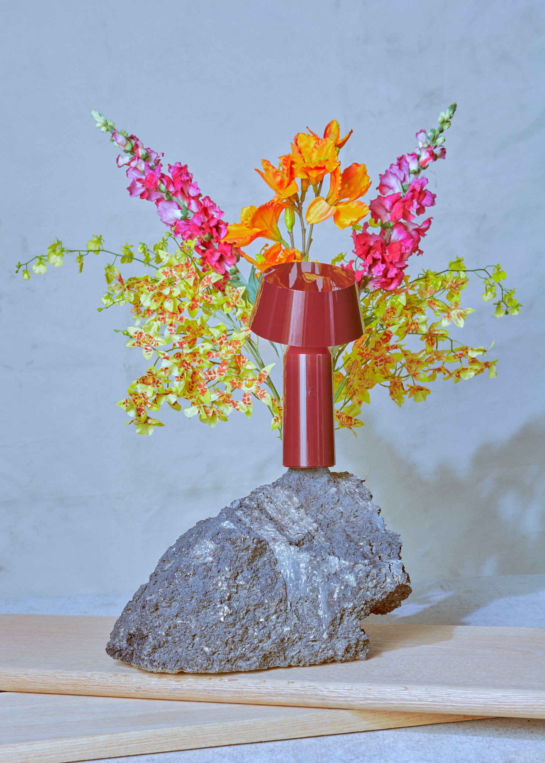 Bicoca - Imagen 28