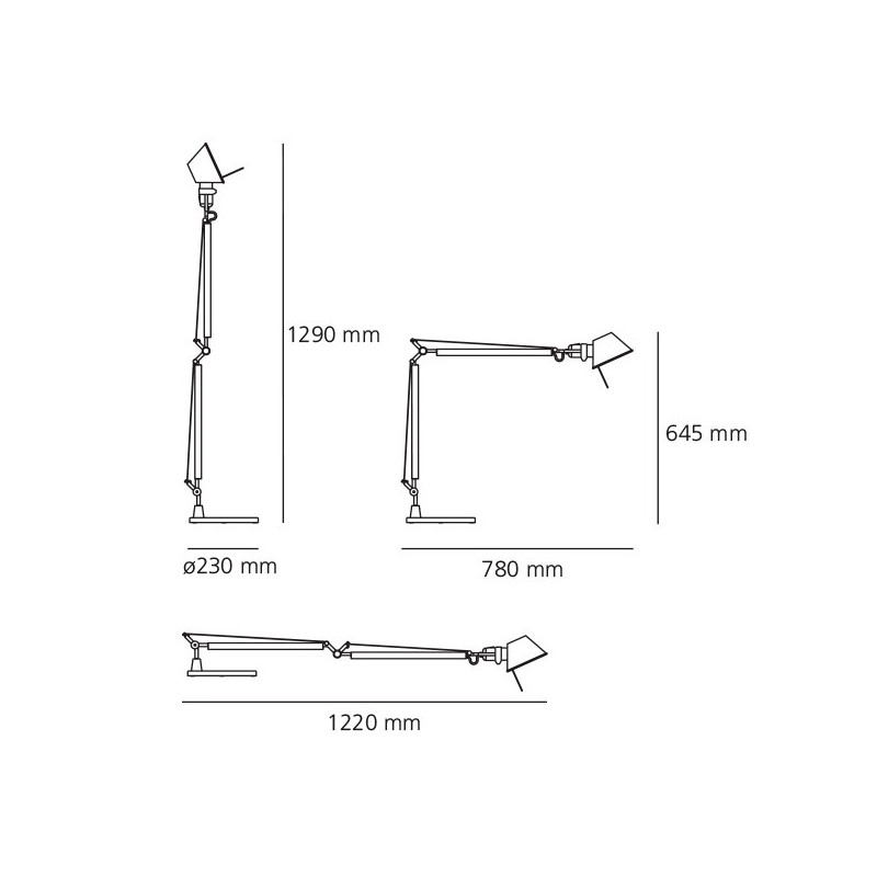Tolomeo - Imagen 17