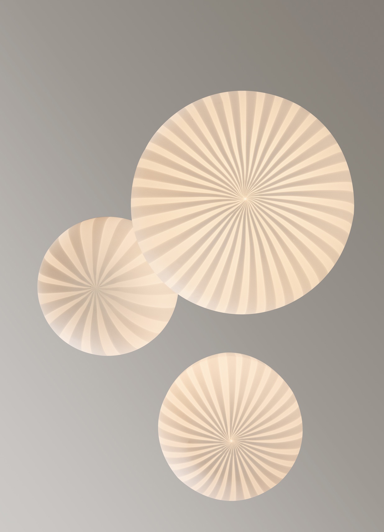 Circus SE258 - Imagen 9
