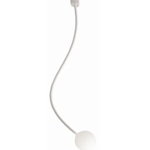 Moony PL307
