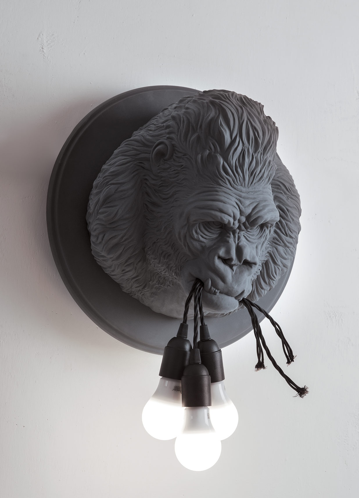Ugo Rilla AP152 - Imagen 3