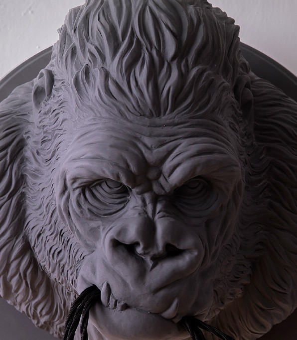 Ugo Rilla AP152 - Imagen 8